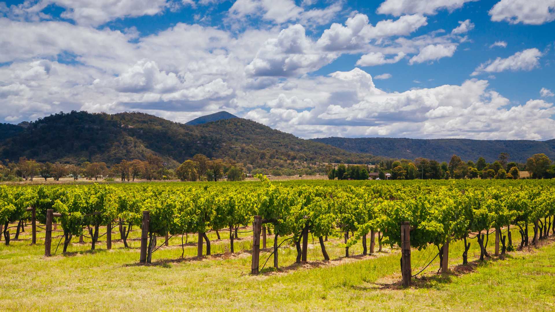 Hunter Valley