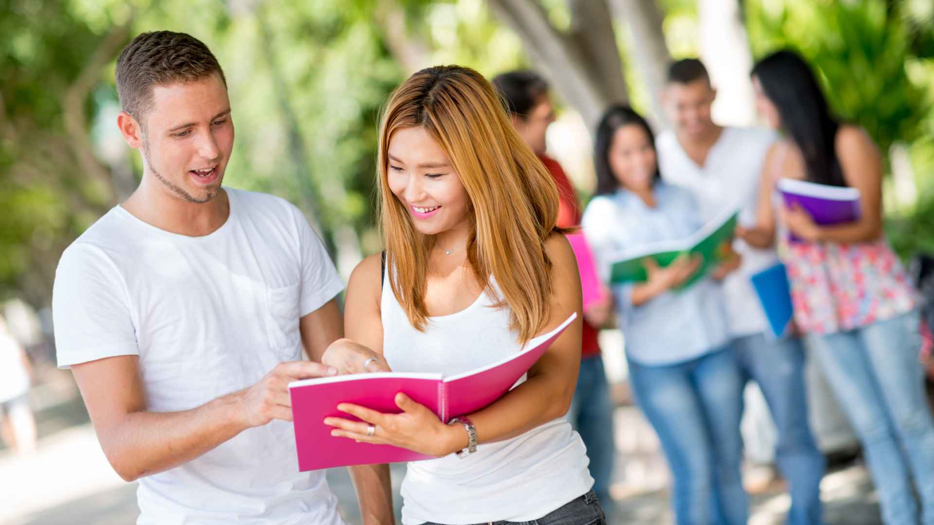 Top 5 Reasons to Study at a University in Adelaide, Australia