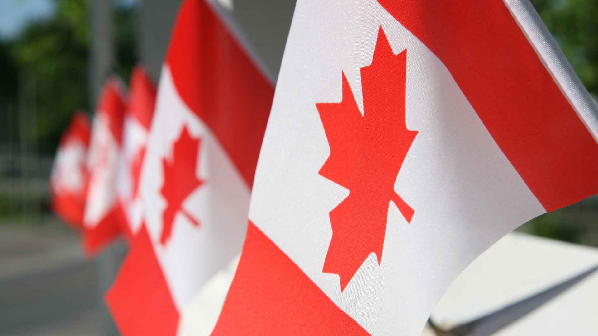 Canada immigration news